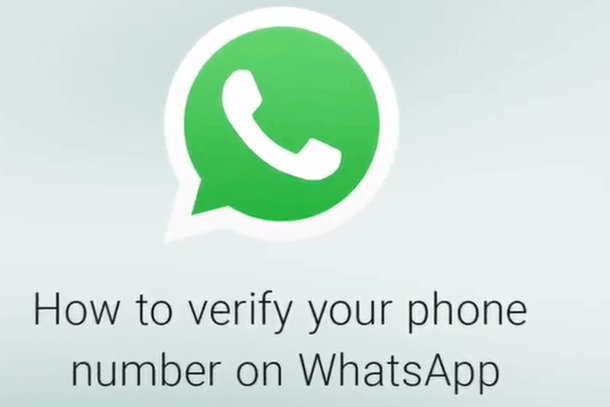 whatsapp中文叫什么,whats app 官网下载