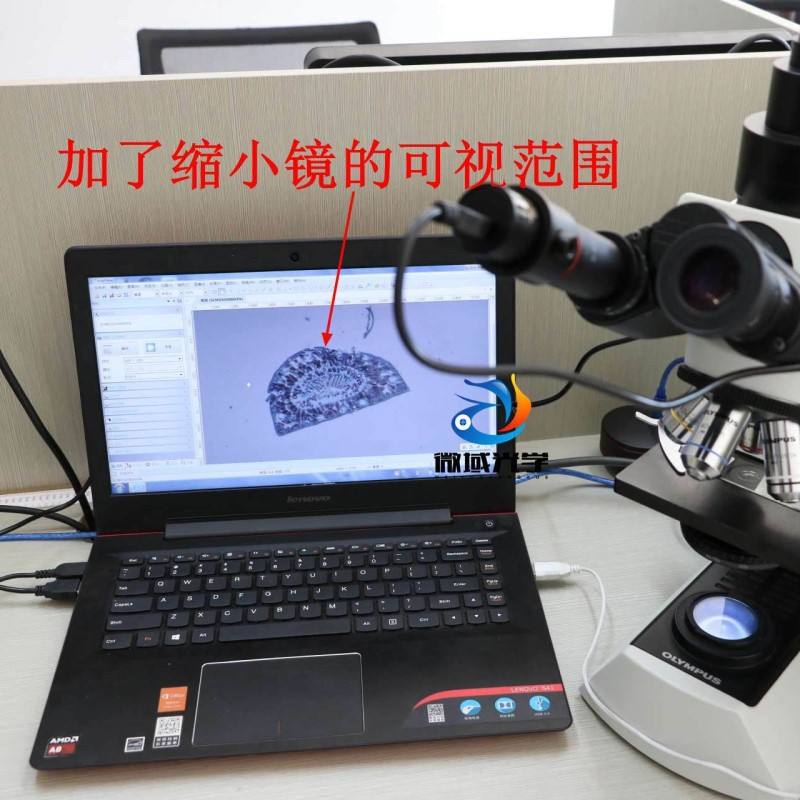 [microscope什么意思]microscope什么意思英语