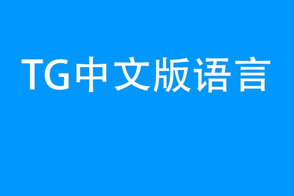 [纸飞机中文语言包]纸飞机中文语言包链接