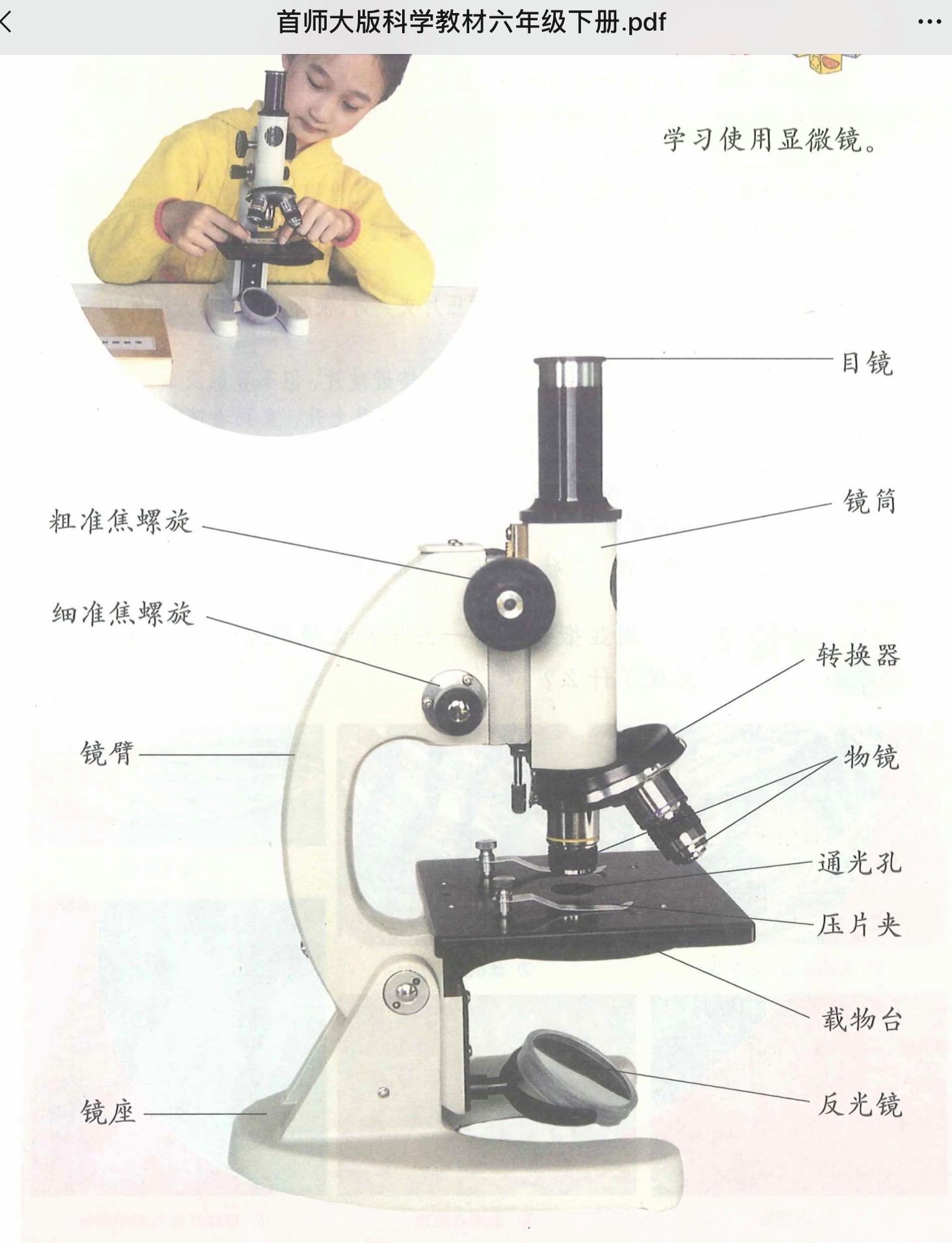 [显微镜是谁发明出来的]显微镜是谁发明出来的视频