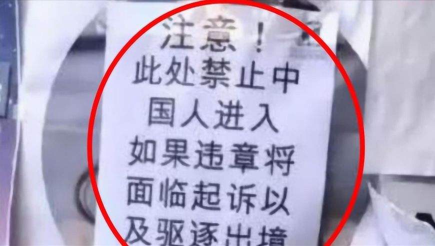 [纸飞机被禁止公开群里发信息]纸飞机被禁止公开群里发信息怎么解除