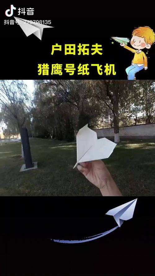 [纸飞机号是什么意思]纸飞机账号是什么意思