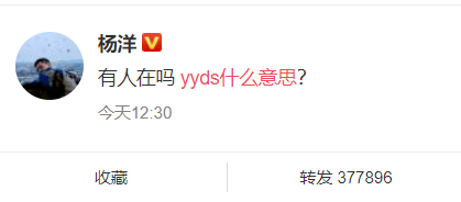 [纸飞机YYDS]纸飞机by 潭石全文无删减