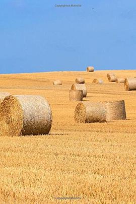 [bales]巴勒斯坦和以色列是什么关系