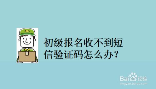 [小飞机收不到验证码怎么办]小飞机收不到验证码怎么办呀