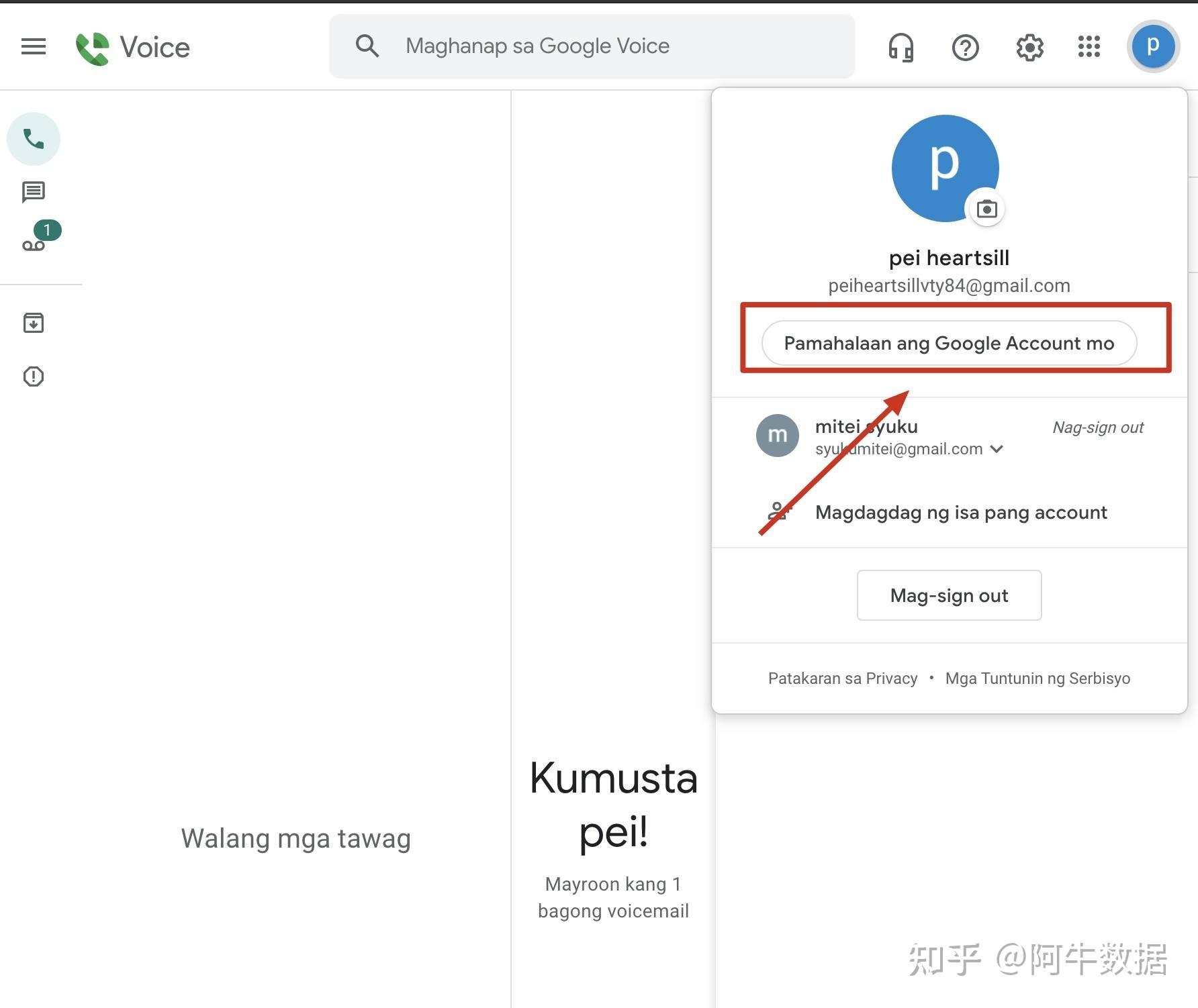 [googlevoice是什么]googlevoice能干什么