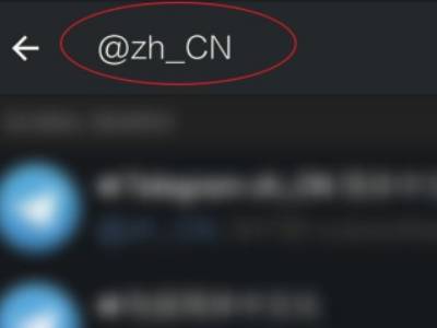 [Telegram怎么变中文]telegram怎么显示中文