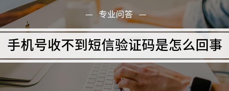 纸书为什么收不到验证码-纸书app为什么不能注册