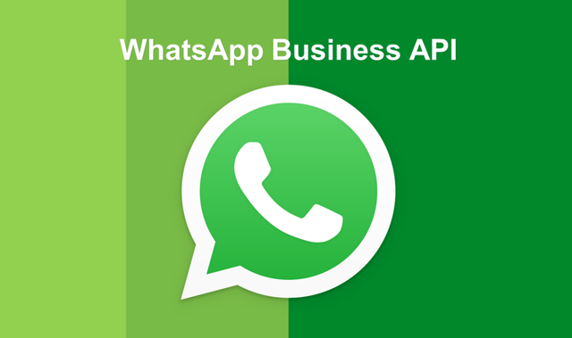 whatsapp的中文翻译-whatsapp怎么中英文互译