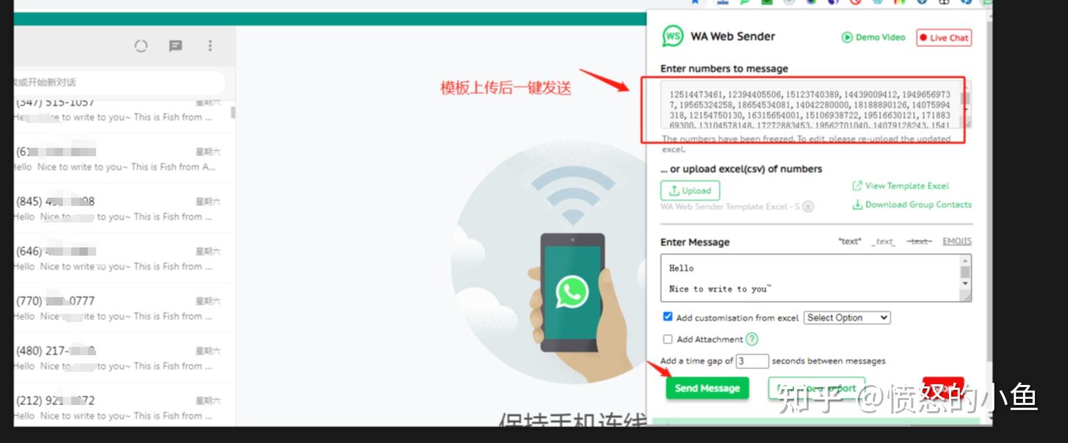 whatsapp在国内能用么-whatsapp 在中国可以用么