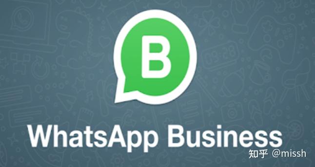 whatsapp什么国家的软件-whatsapp在哪些国家比较受欢迎