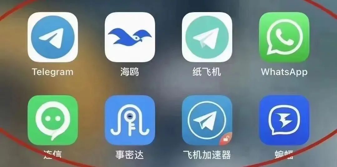 纸飞机聊天app-纸飞机聊天app中文版苹果