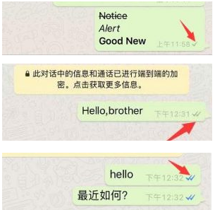 whatsapp英文怎么发音的简单介绍