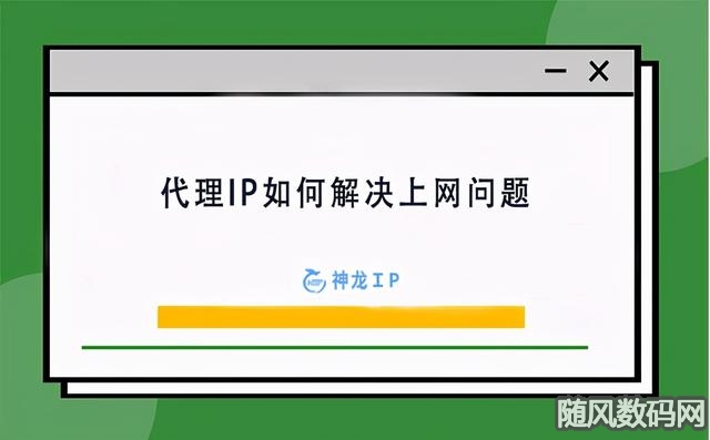 最新纸飞机免费代理ip-纸飞机代理ip免费2023