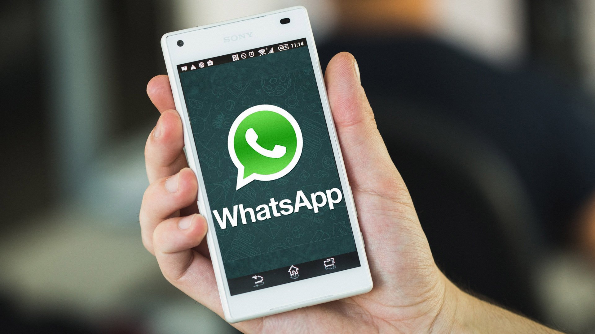 whatsapp网页版登录-whatsapp网页版登录不了