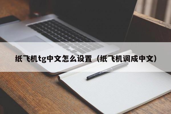 纸飞机app怎么用中文-纸飞机app怎么弄成中文版的