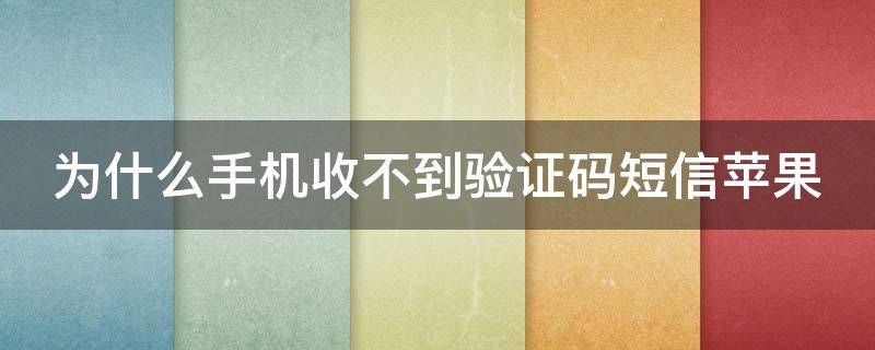 纸飞机国内号码收不到验证码-纸飞机国内号码收不到验证码怎么登录