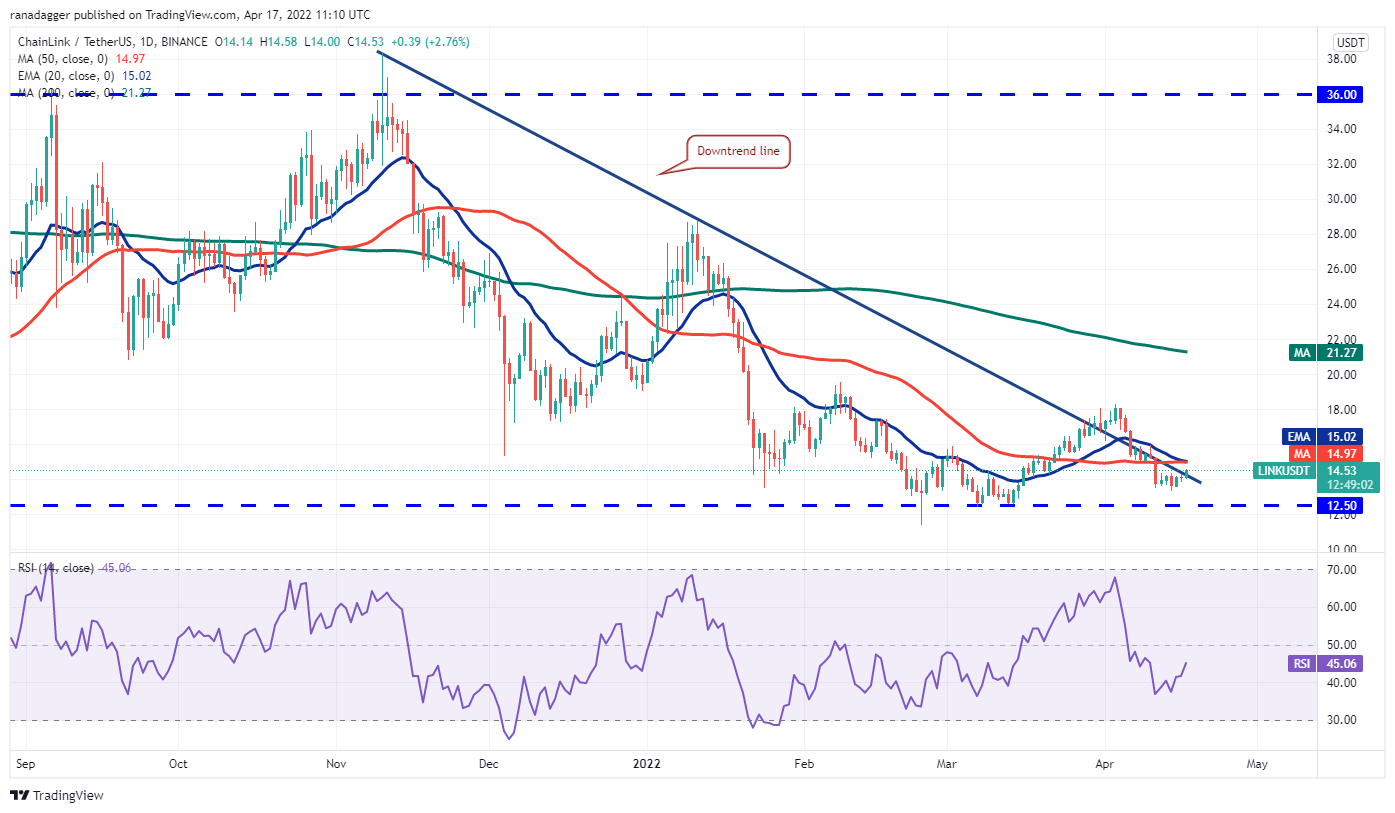 币种usdt-币种USD是什么