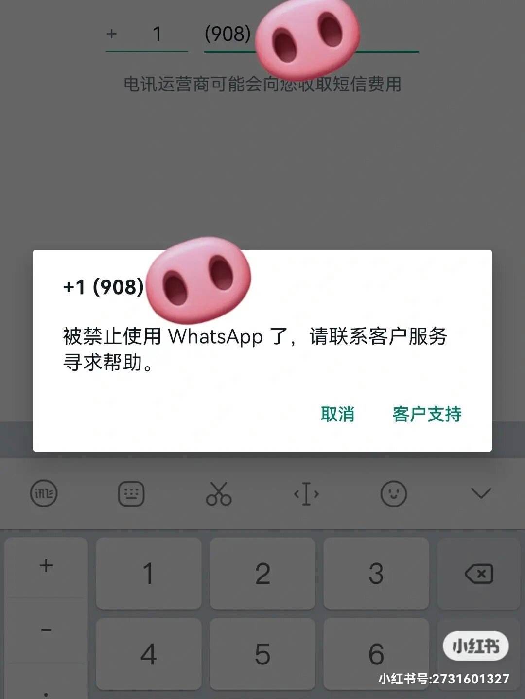 whatsapp无法发送验证短信-whatsapp无法发送验证短信,说等60分钟