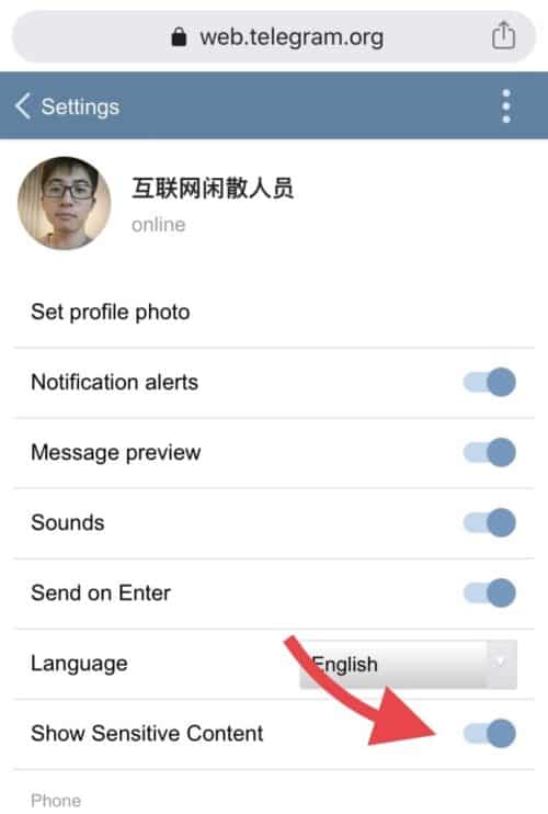 iOStelegram设置中字-telegram解除敏感限制ios