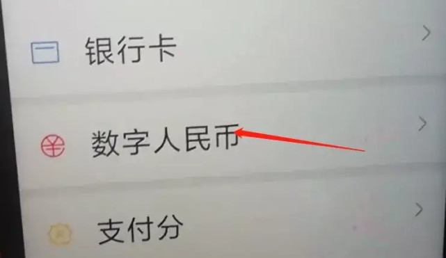 大众网pt数字钱包在哪,大众网pt数字钱包在哪里