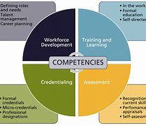 competence-oriented,competenceoriented翻译