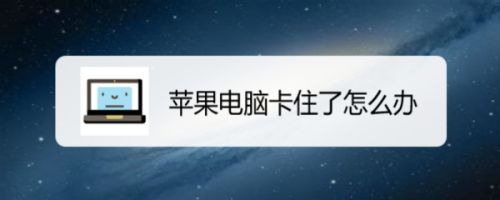 小狐狸钱包闪退打不开怎么办呢苹果,小狐狸钱包闪退打不开怎么办呢苹果手机