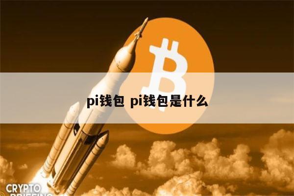 pi钱包助记词丢了怎么办,pi钱包助记词无效可重置吗