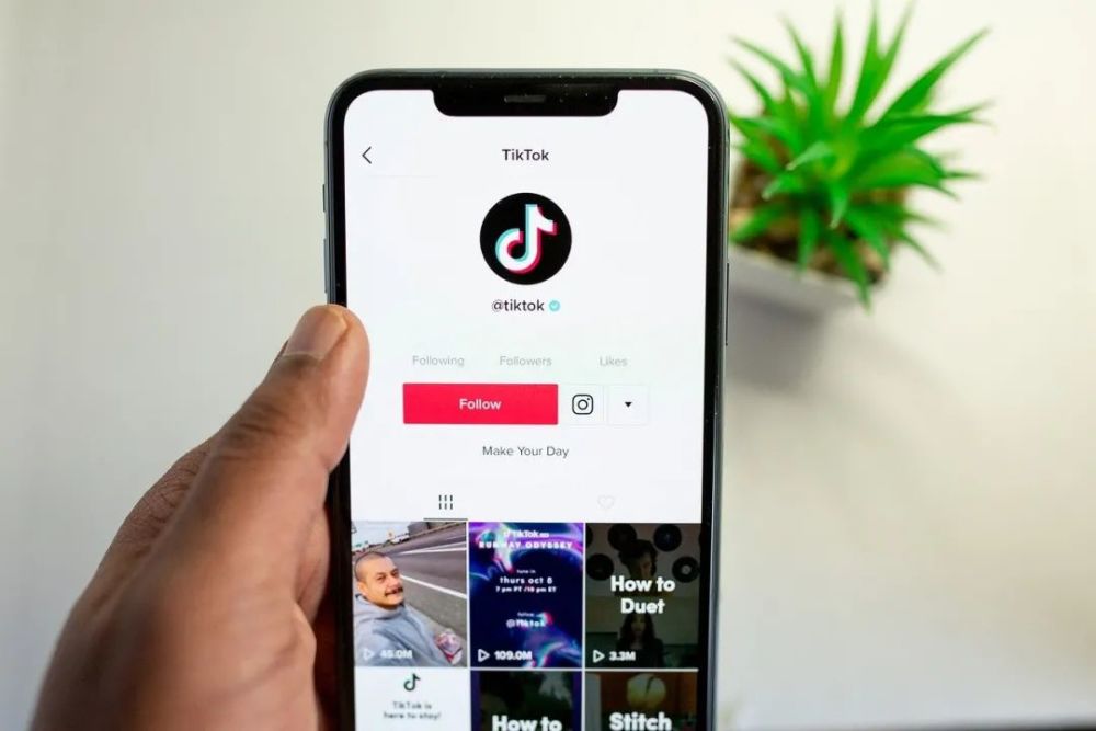 苹果下载tiktok,tik tok官网入口