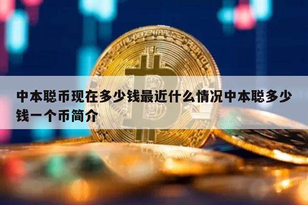 中本聪币官网下载,中本聪币app官网下载