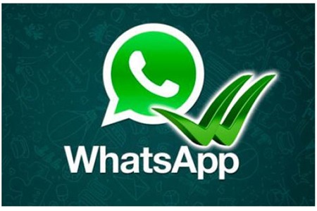 whatsapp怎么发音,whatsapp语音怎么翻译