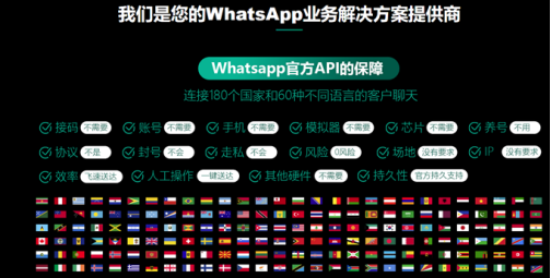 whatsapp为什么发不了验证码,whatsapp无法发送sms验证码