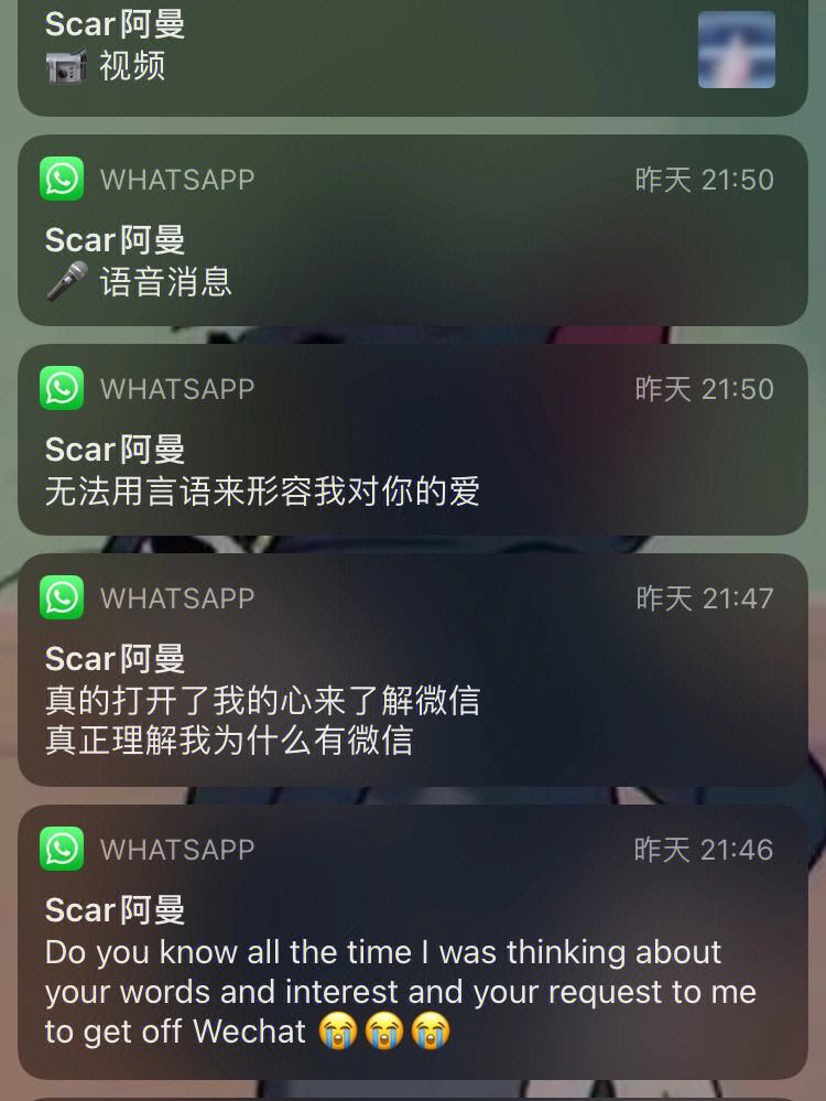 whatsapp怎么翻译成英文,whatsapp怎么直接在软件中译英