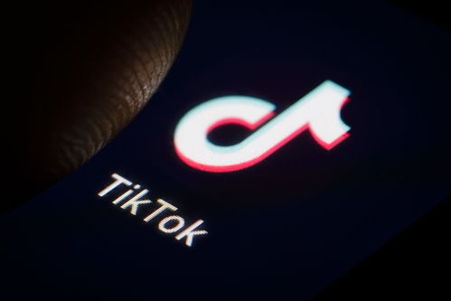 toktiktok下载ios,tiktokdownload ios