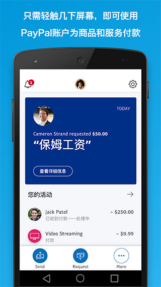 paypal钱包充值,paypal充值要手续费吗