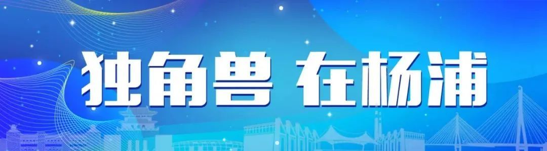 夺畅网络XTransfer怎么样,上海夺畅网络技术有限公司上班怎么样