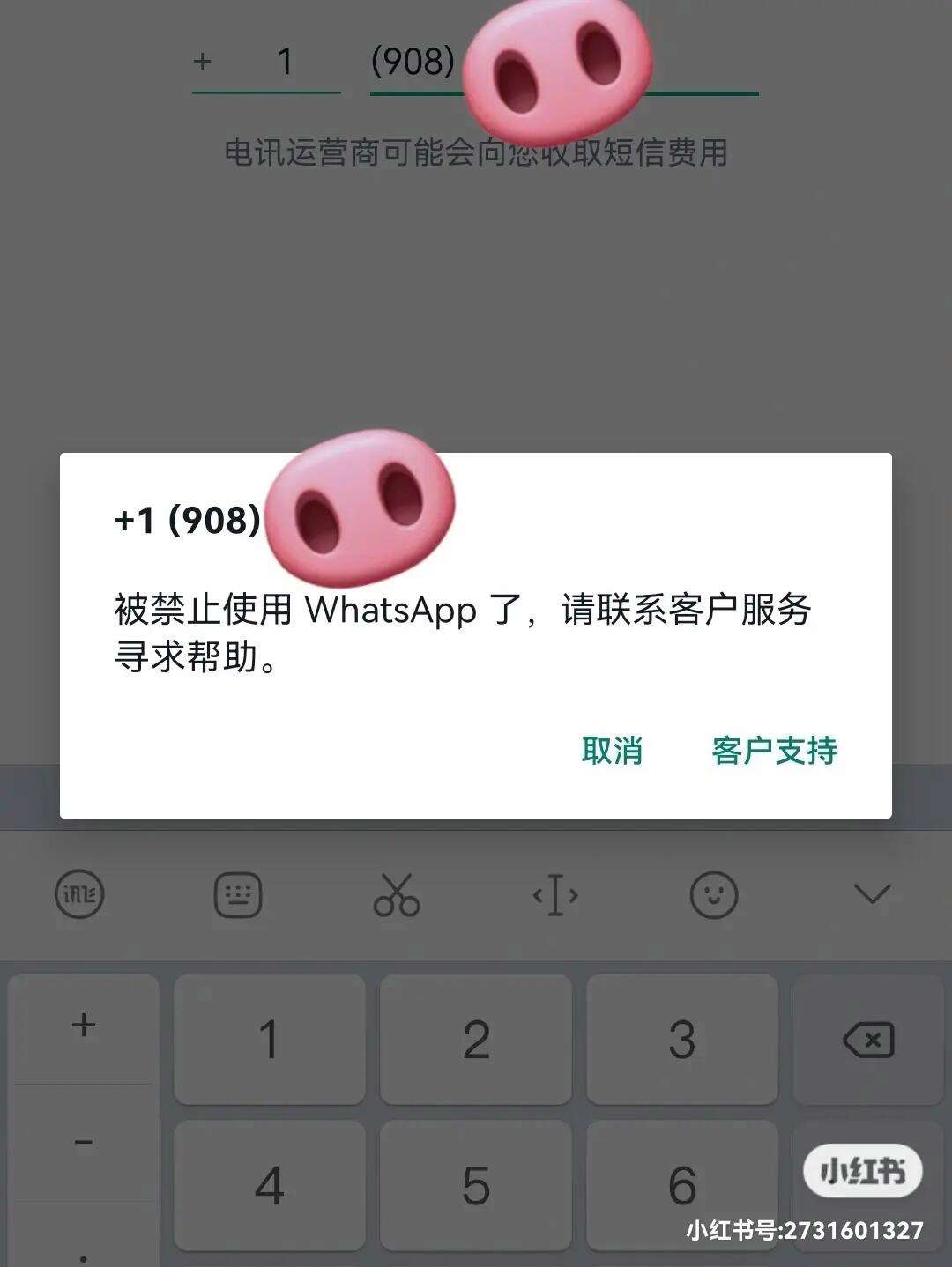 苹果whatsapp收不到验证码怎么办的简单介绍