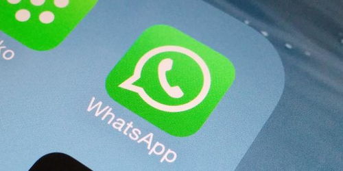 whatsapp最新下载安卓,whatsapp2021安卓下载安装