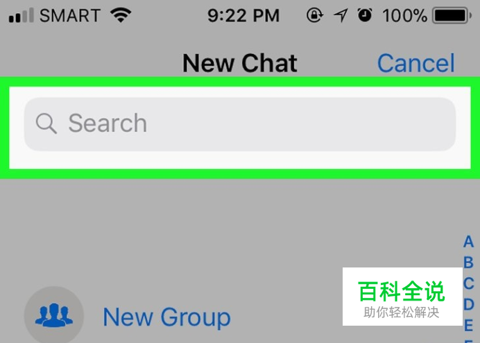 苹果whatsapp用不了,苹果手机whatsapp为什么无法连接