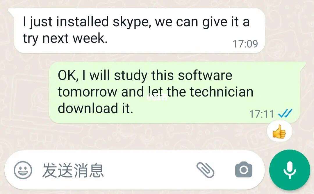 skype什么意思英语,skype什么意思中文翻译