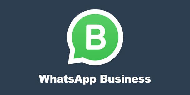 whatsapp下载安卓最新版本2023,whatsapp下载安卓最新版本 2023