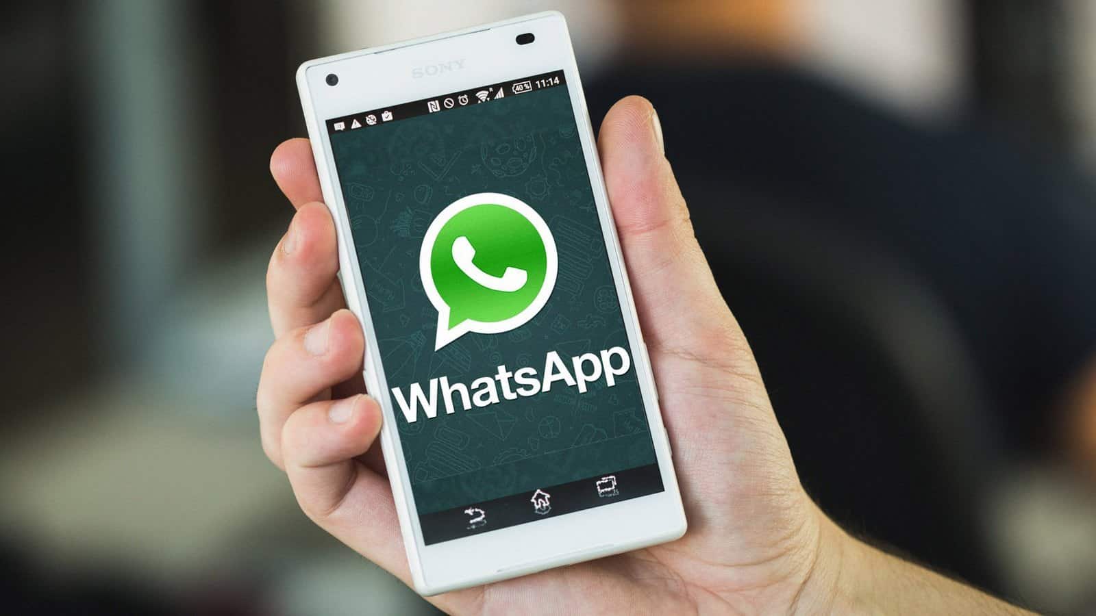 whatsapp免费破解版,whatsappsender破解