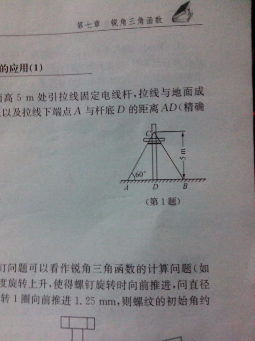 梯子与地面的夹角应为(°左右,梯子与地面的夹角应为°左右