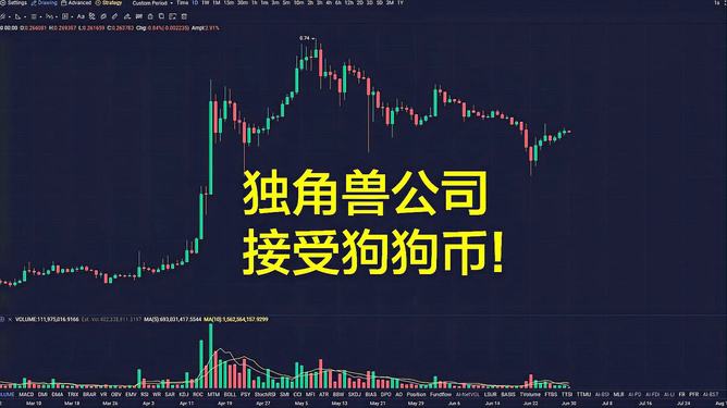 狗狗币钱包最新版,狗狗币钱包下载官网