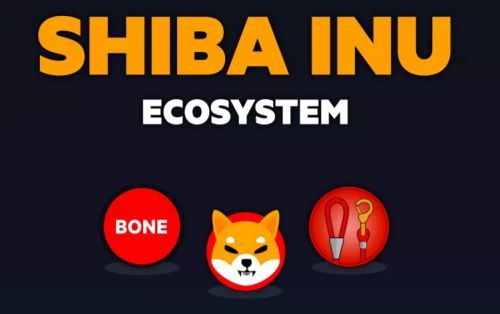 coinbase上线shib,Coinbase上线永续期货合约