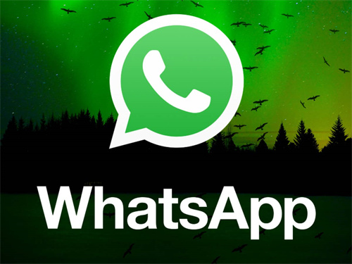 whatsapp下载了不能用,whatsapp下载了怎么用不了