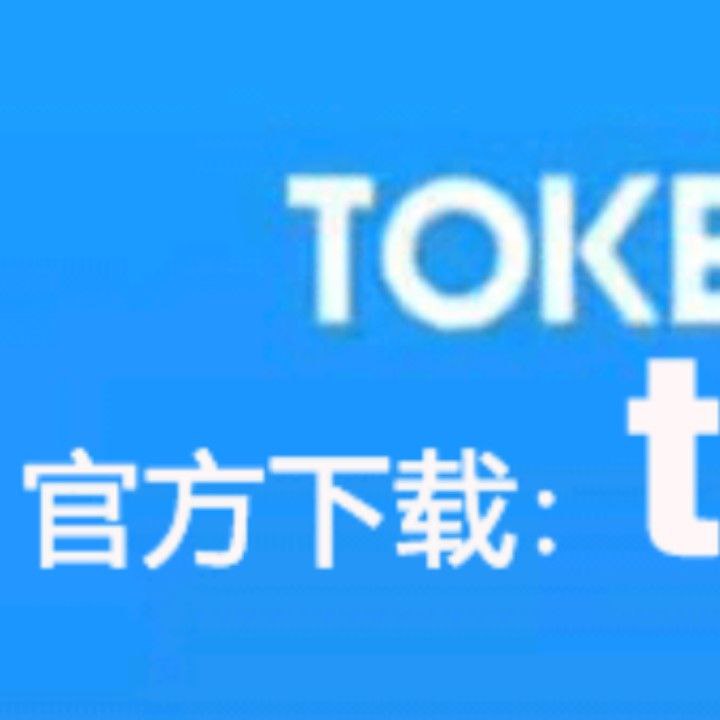 token钱包介绍,token钱包安全吗