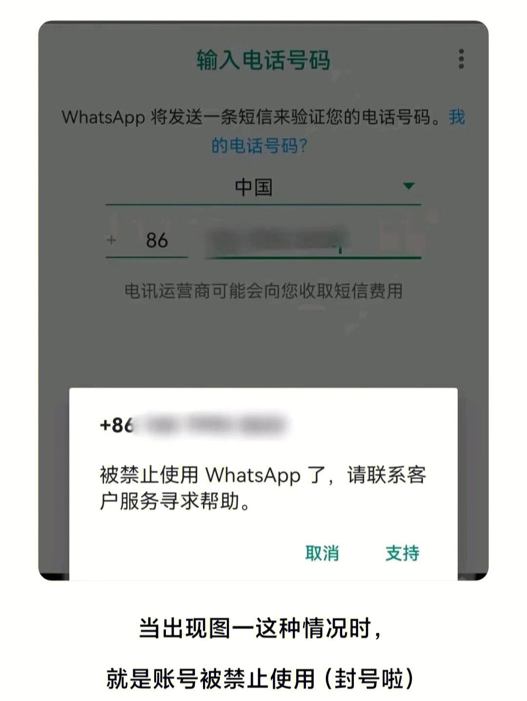 手机下载whatsapp不能用,为什么下载whatsapp不能用