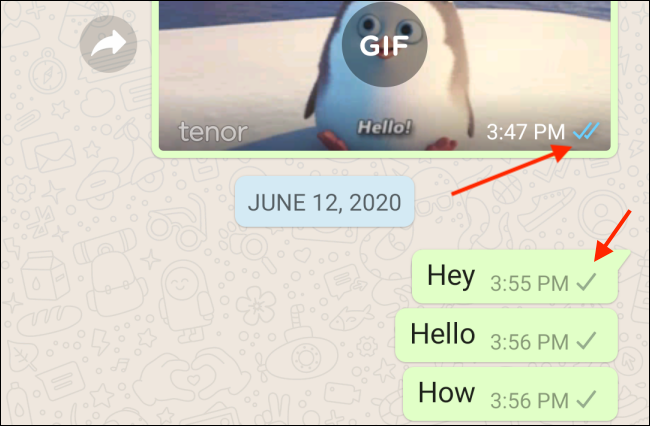 whatsapp电脑版怎么视频聊天,whatsapp电脑版可以视频聊天吗