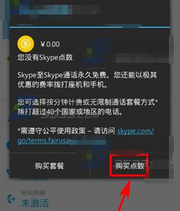 skype充值页面打不开,skype充值后看不见点数